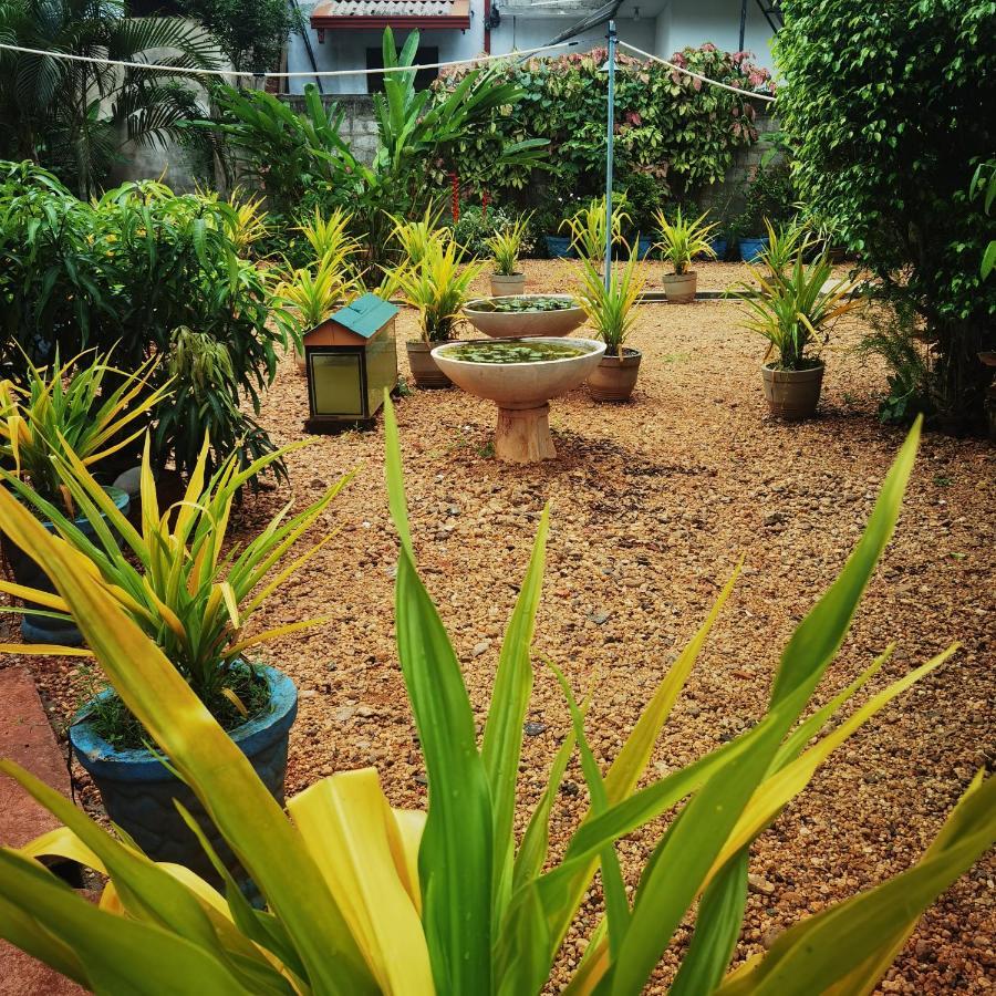 City Paradise Dambulla Luaran gambar