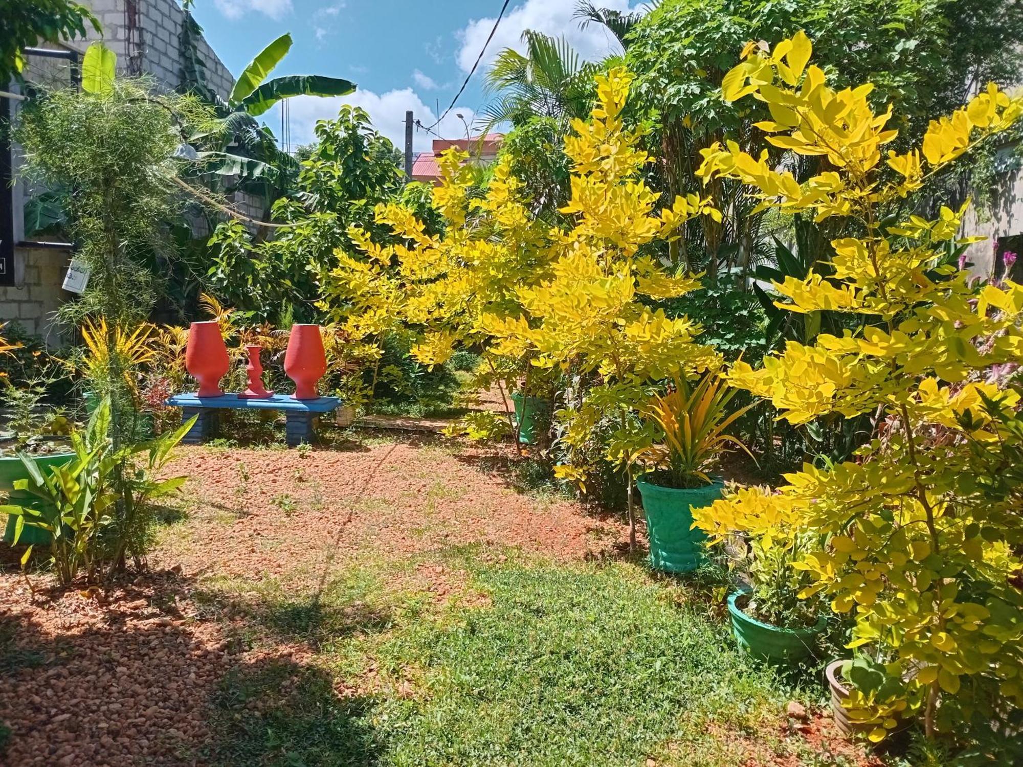 City Paradise Dambulla Luaran gambar