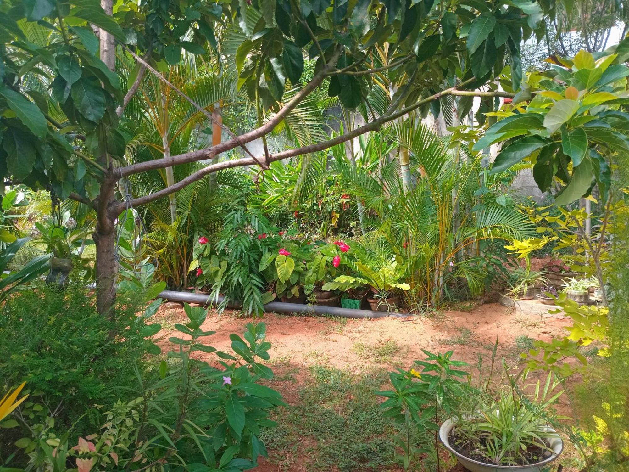 City Paradise Dambulla Luaran gambar