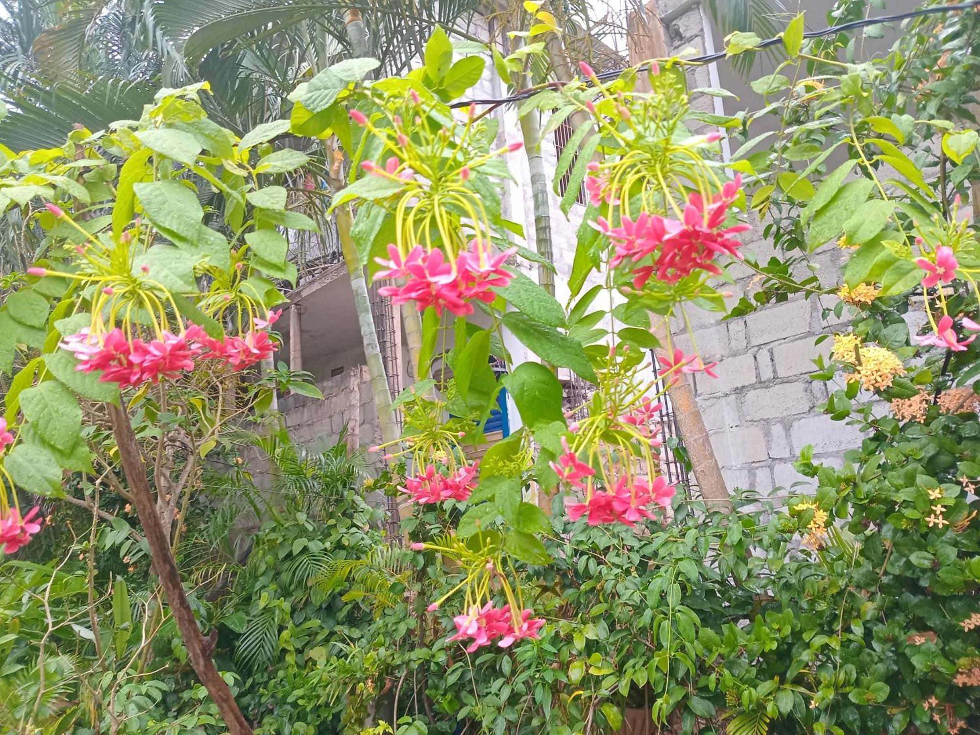 City Paradise Dambulla Luaran gambar