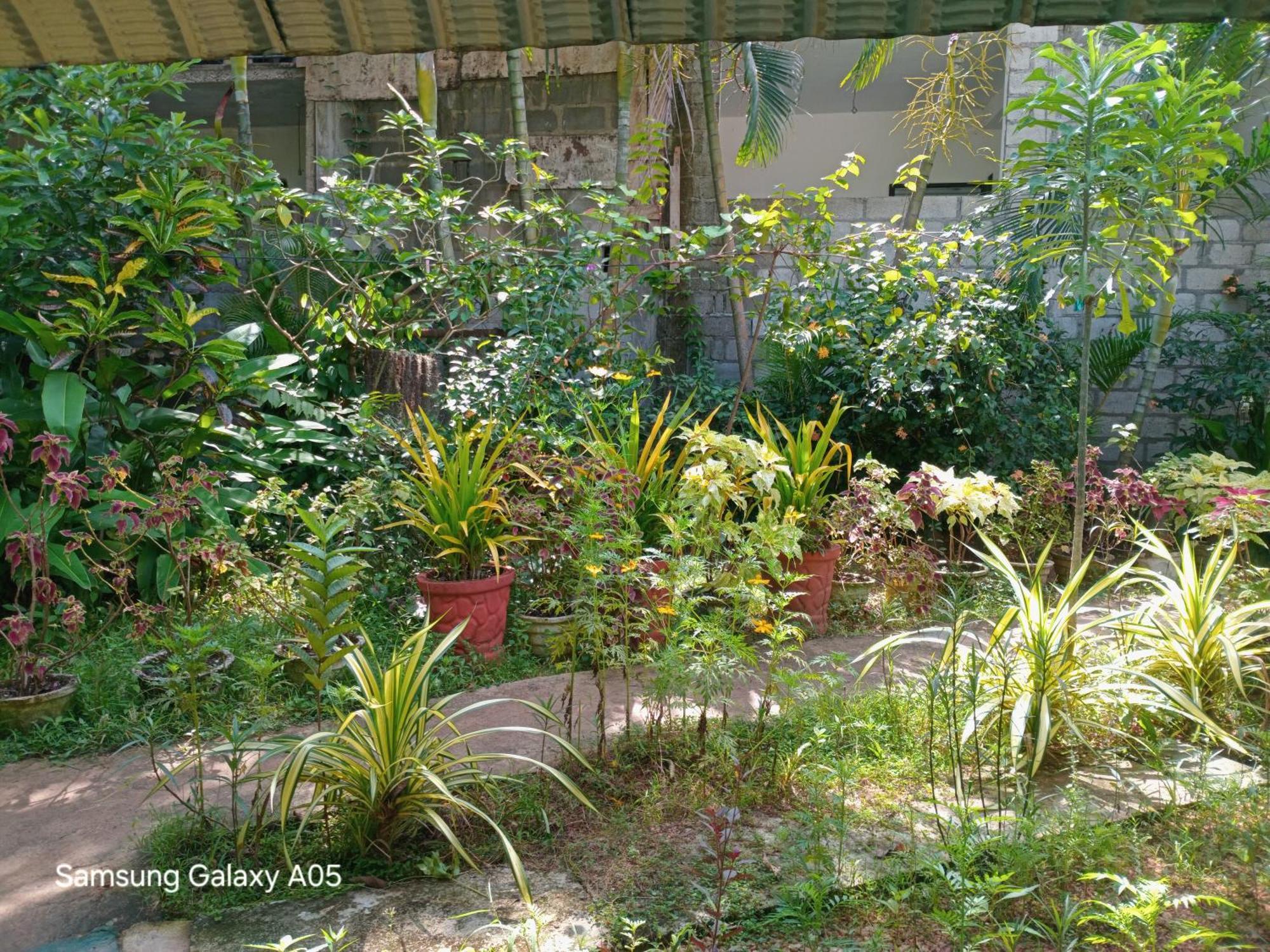 City Paradise Dambulla Luaran gambar